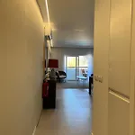 דירה Painel De *