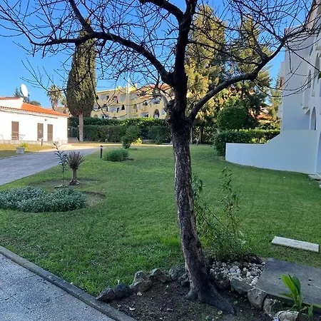 Apartamento Painel De *